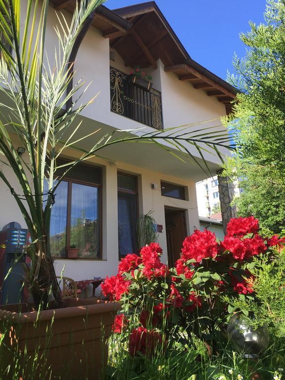 Guesthouse Elizabeth Szamokov Kültér fotó