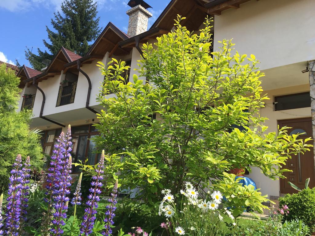 Guesthouse Elizabeth Szamokov Kültér fotó